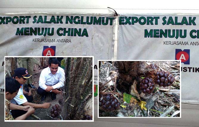 Amran Sulaiman: "Tolong Dong Tanya Kapan Ekspor, Jangan Impor Melulu....."